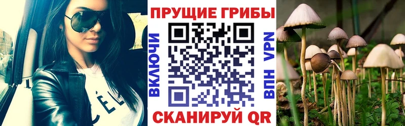 Псилоцибиновые грибы Magic Shrooms  Северобайкальск 